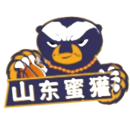 山东蜜獾