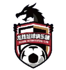 南京龙胜